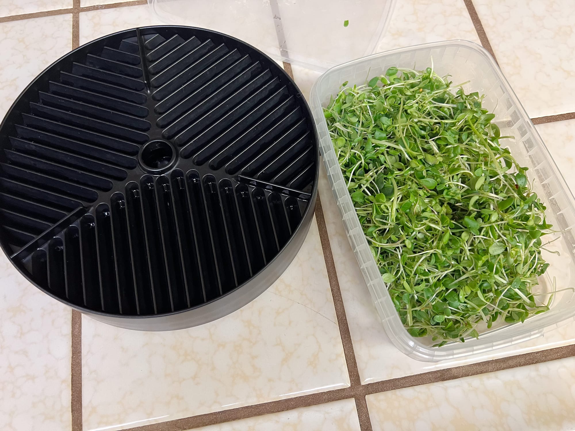 The MicroPod and a yield of microgreens after harvesting