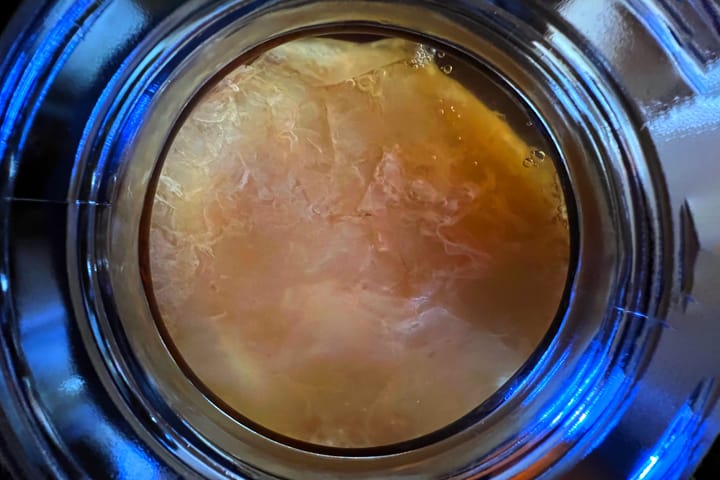 overhead view of a SCOBY in a jar